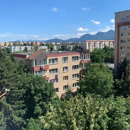 Victoriei Boulevard Private Apartment-2