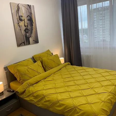 Victoriei Boulevard Private Apartment-3
